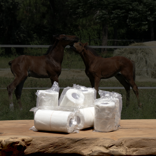 Equifox crepe bandages product image