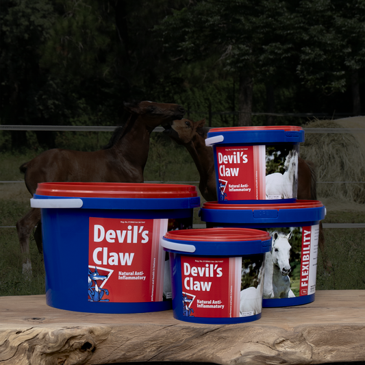 Equifox Devil's Claw Product Image