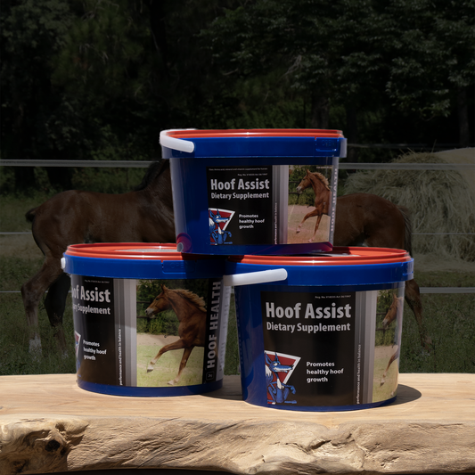 Equifox Hoof Assist Product Image
