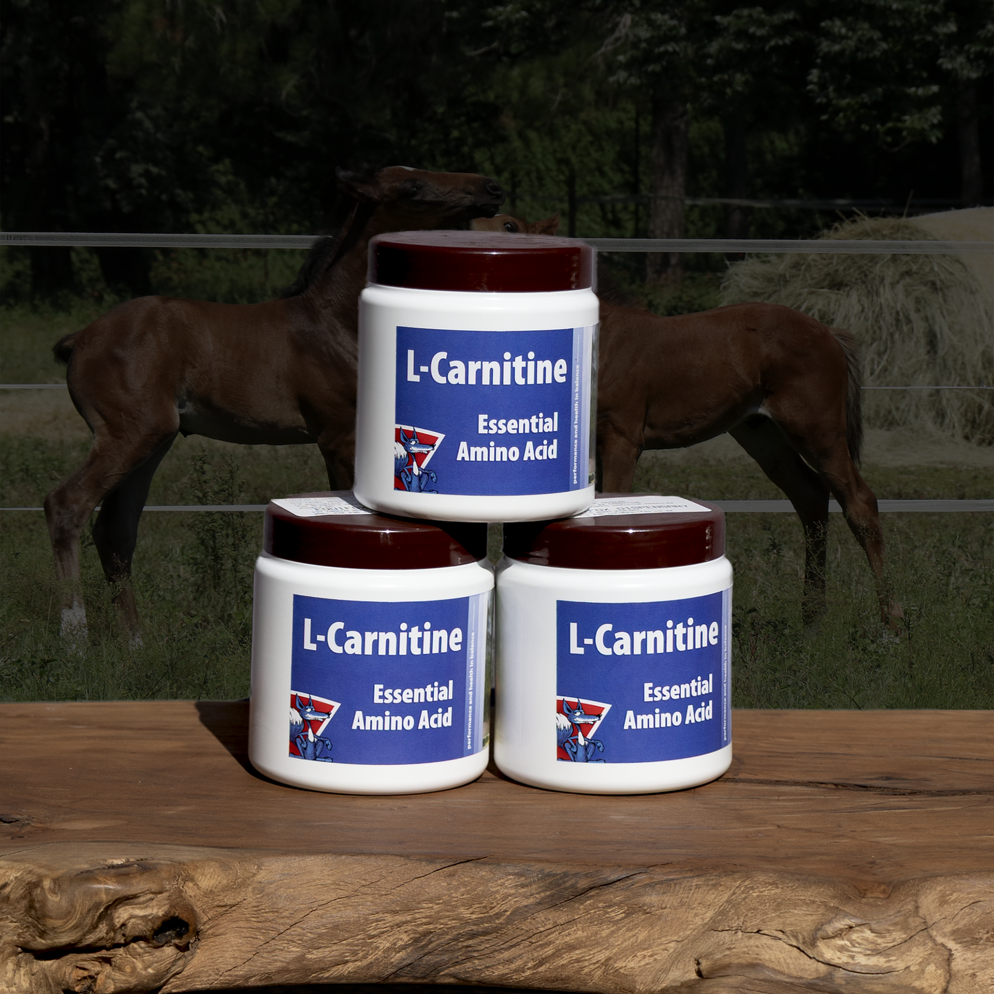 Equifox L-Carnitine Product image