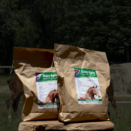 Equifox Mass Gain Product Image