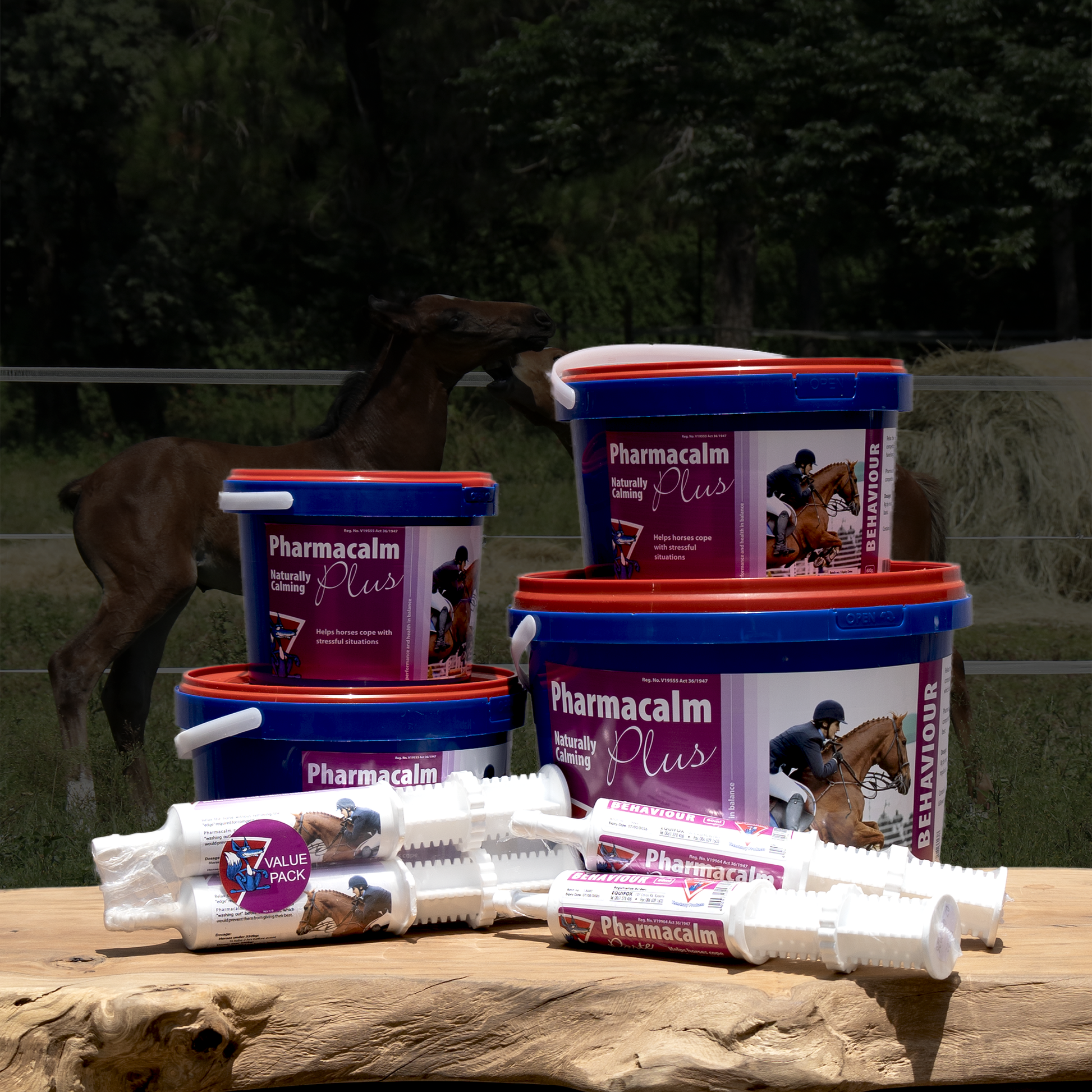 Equifox Pharmacalm Plus product image