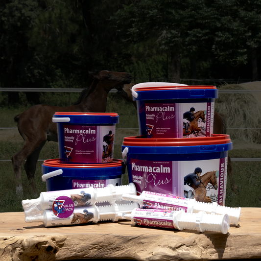 Equifox Pharmacalm Plus product image