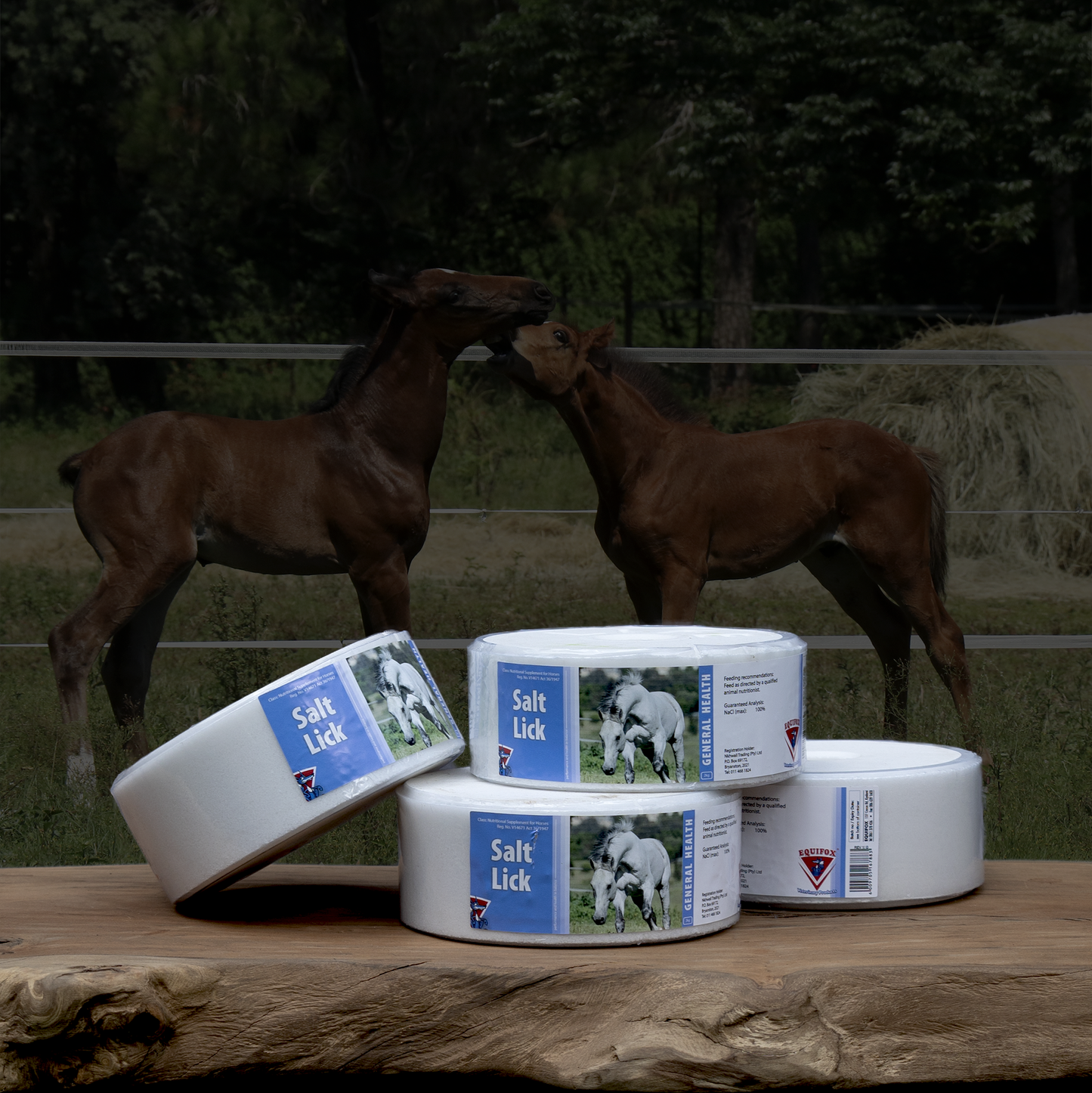 Equifox Salt Lick product image