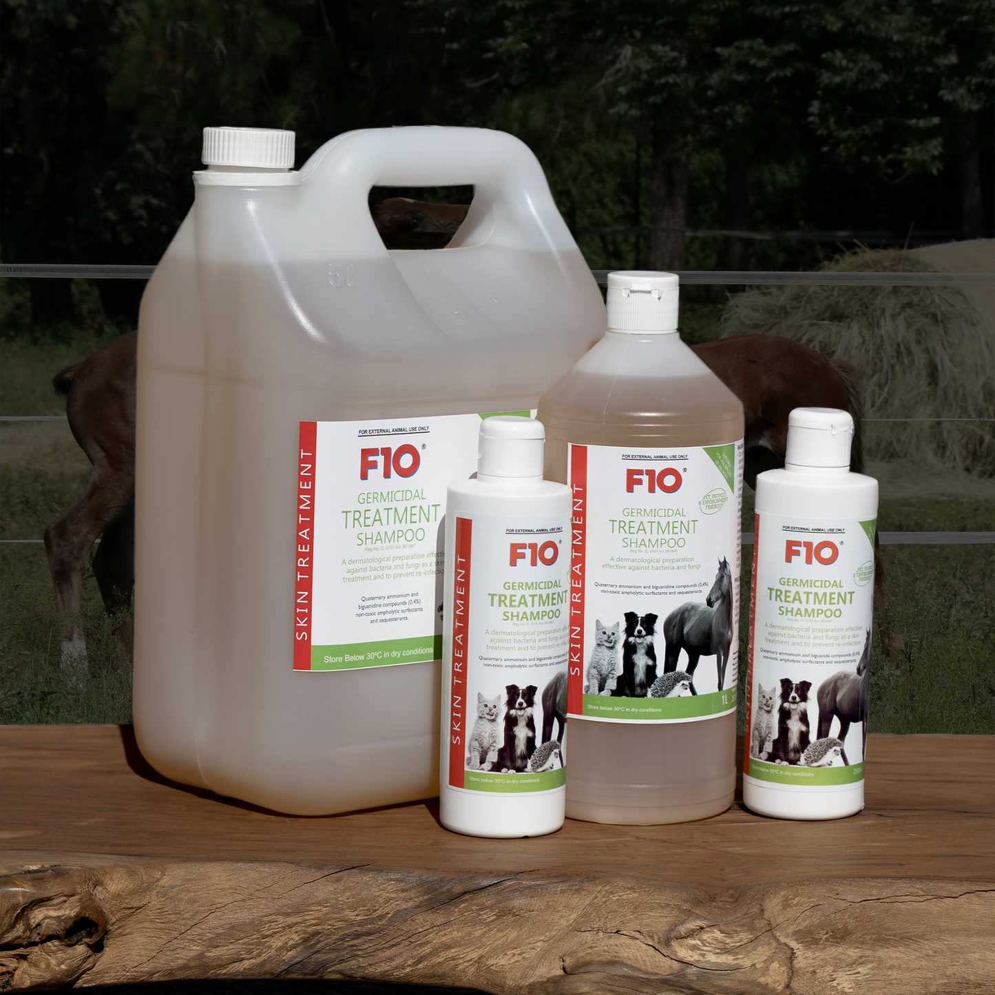 F10 Germicidal Shampoo Product image
