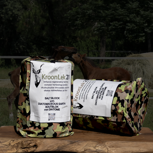 Kroonlek21 product Image
