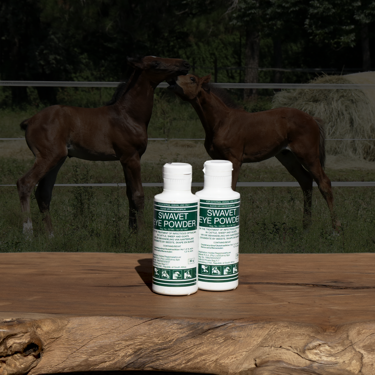 Swavet Eye Powder product image