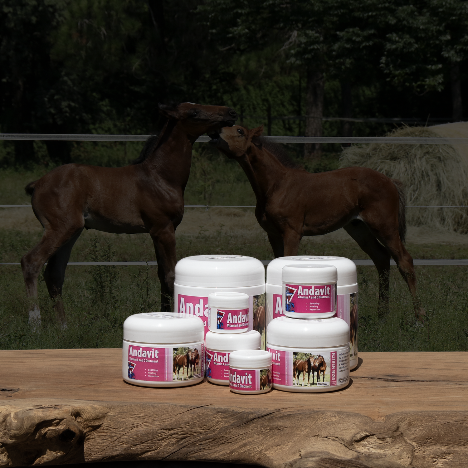 Equifox Skin Health Collection Image