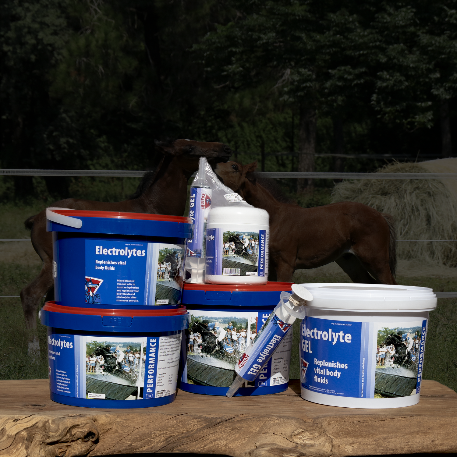 Equifox Performance Collection image