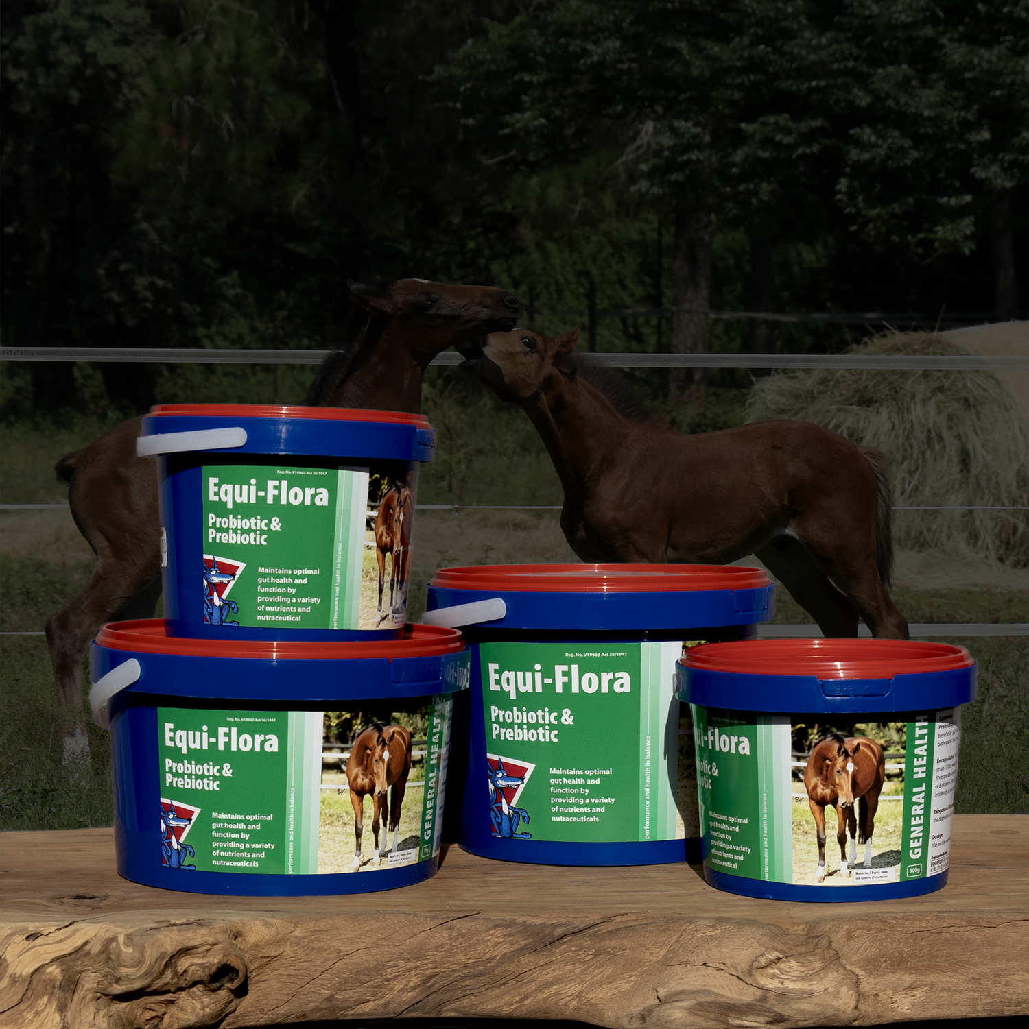 Equifox General health collection image