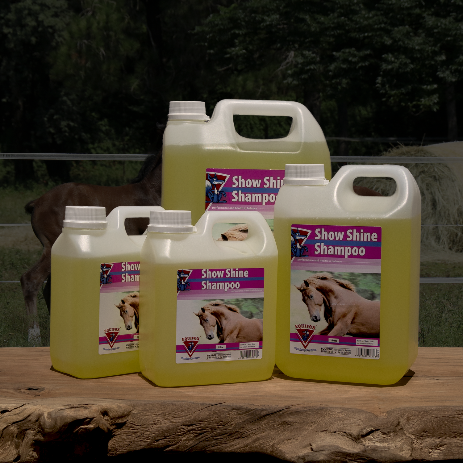 Equifox Show Shine Shampoo Image