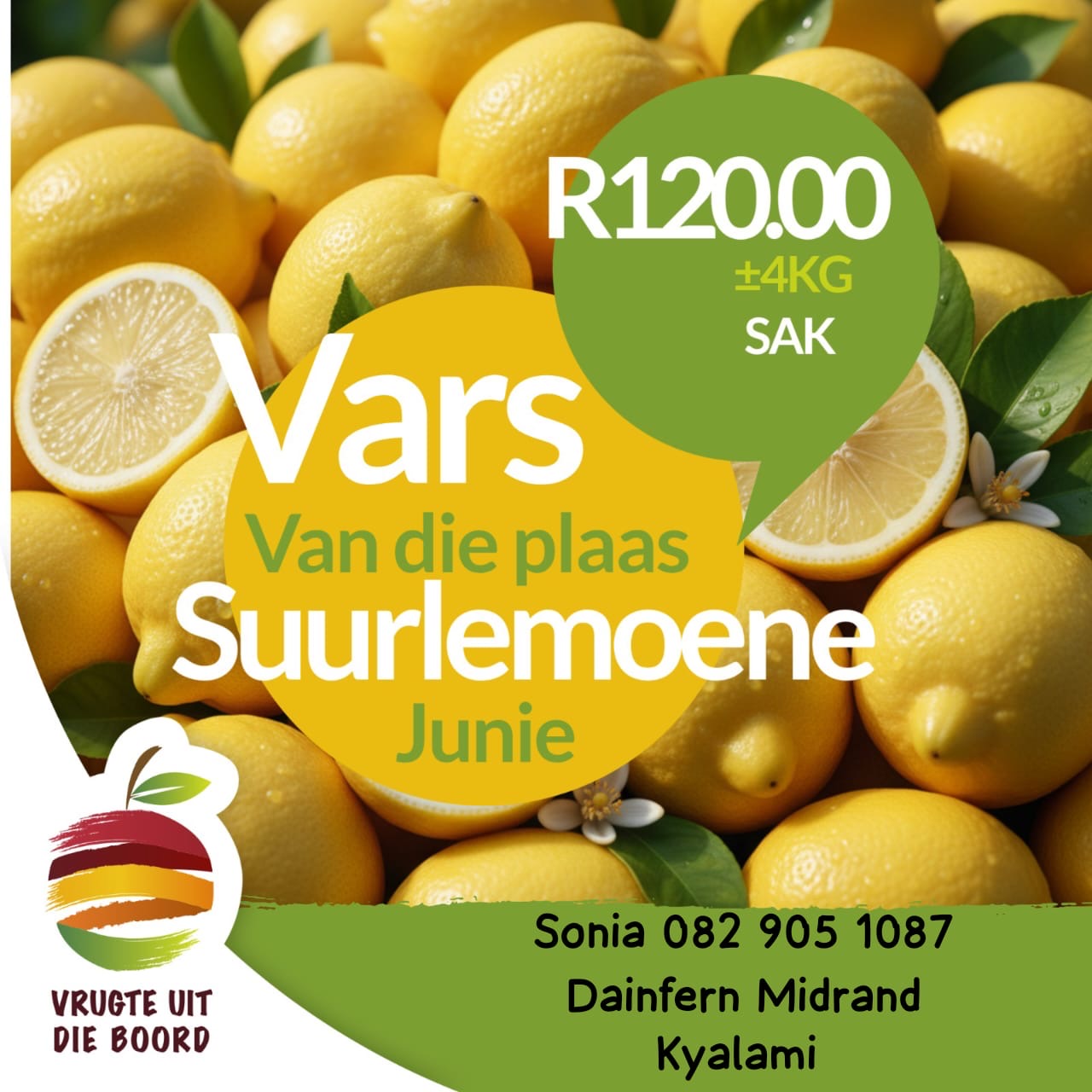 Vrugte uit die Boord - Lemons