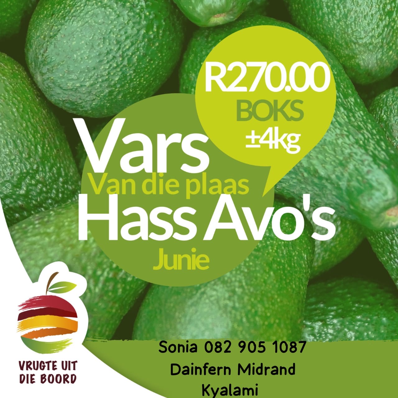 Vrugte uit die Boord - Avocado - Hass