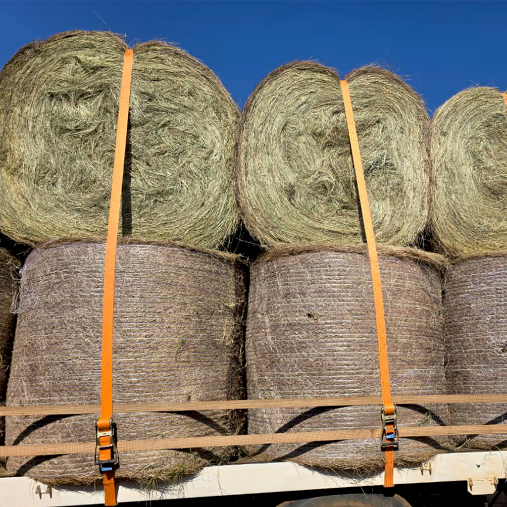 1.2m Eragrostis Round Bales for sale at BarnLife Online Feeds