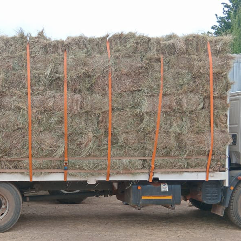 Eragrostis square bales for sale at BarnLife Online Feeds