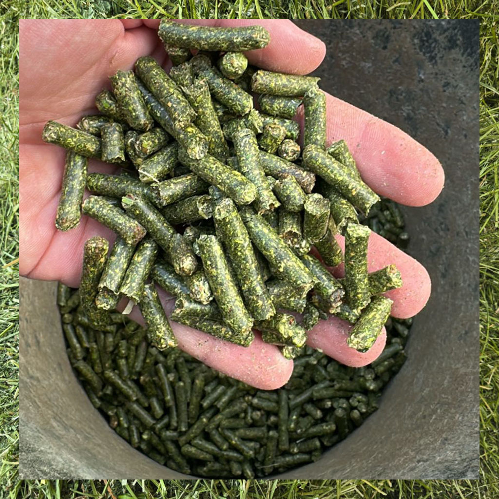 Lucerne Pellets for sale at BarnLife Online Feeds