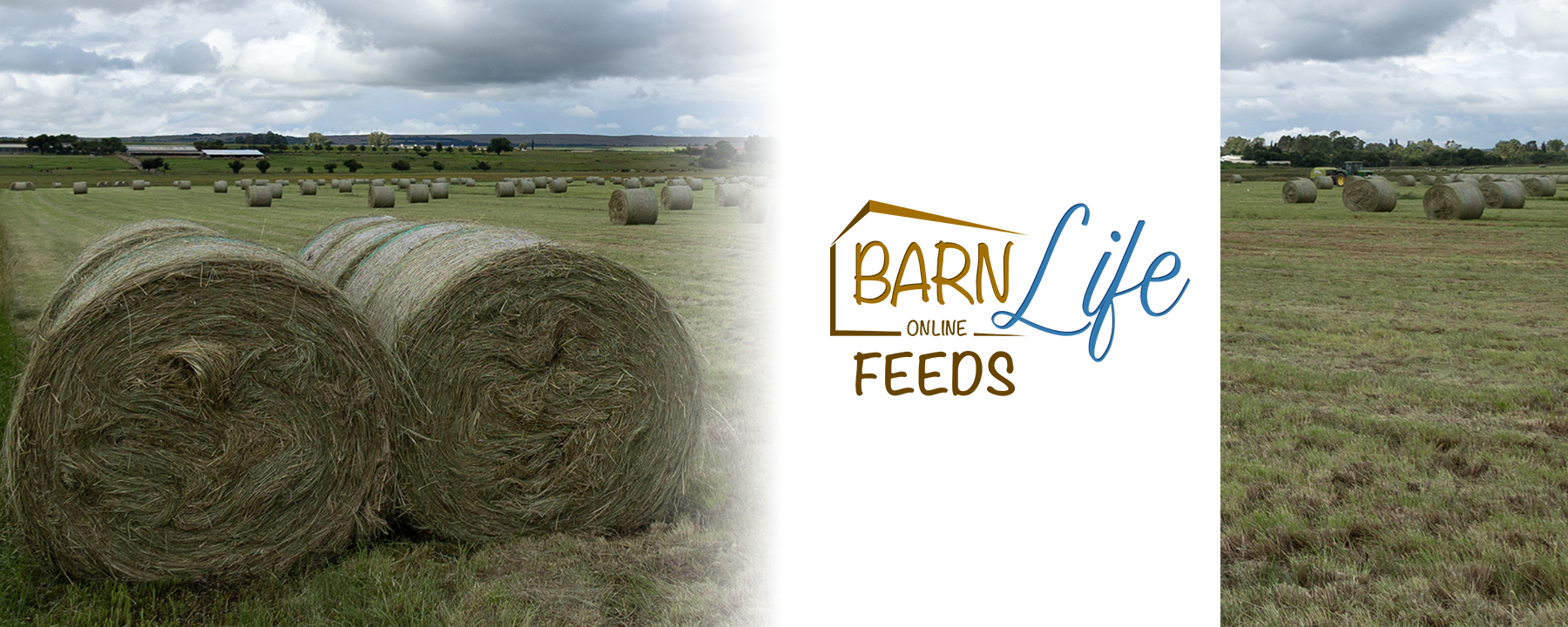 BarnLife Feeds image banner