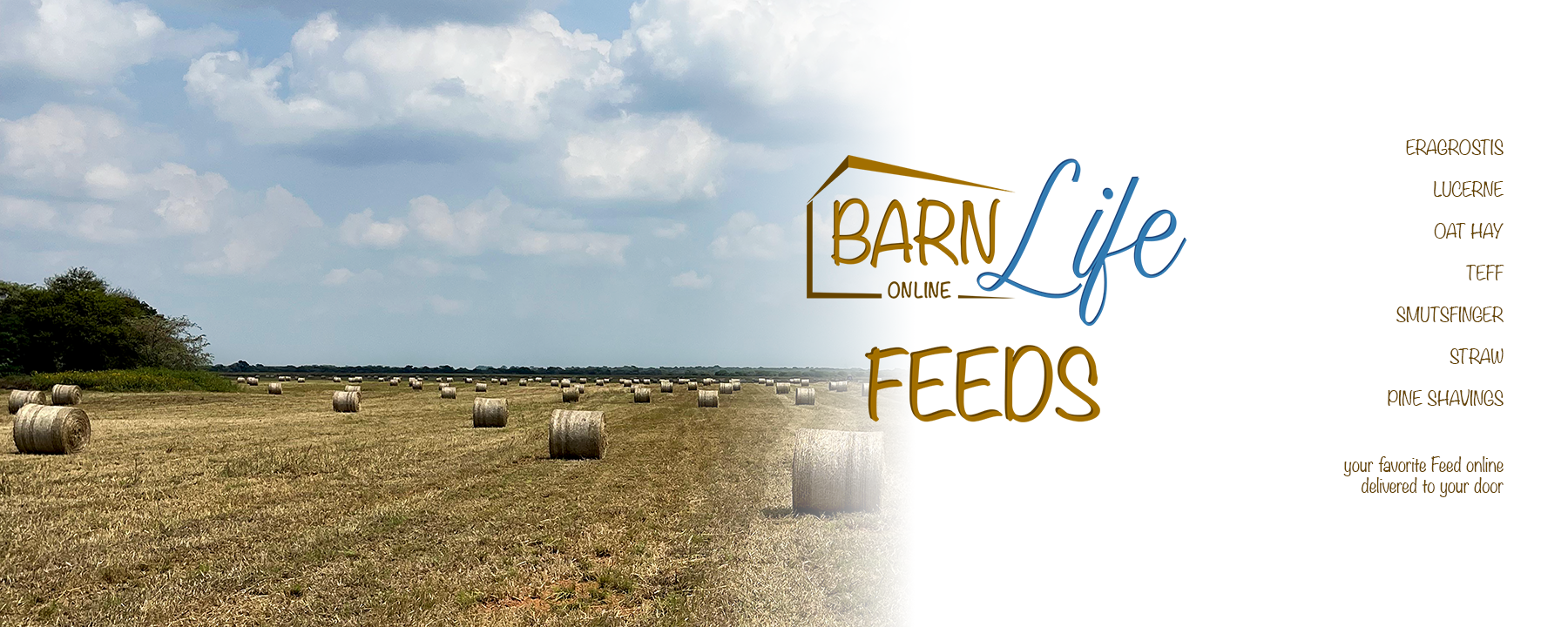 BarnLife Online Feeds Cover page