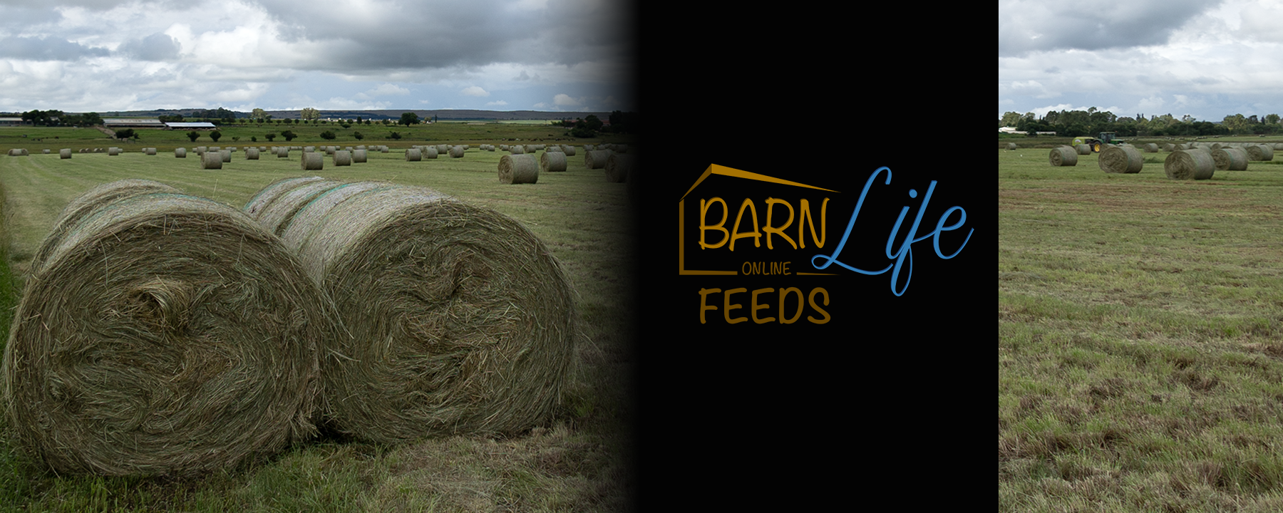 BARNLife Online Feeds image banner