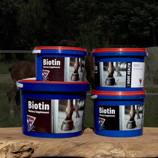 Equifox Biotin Image