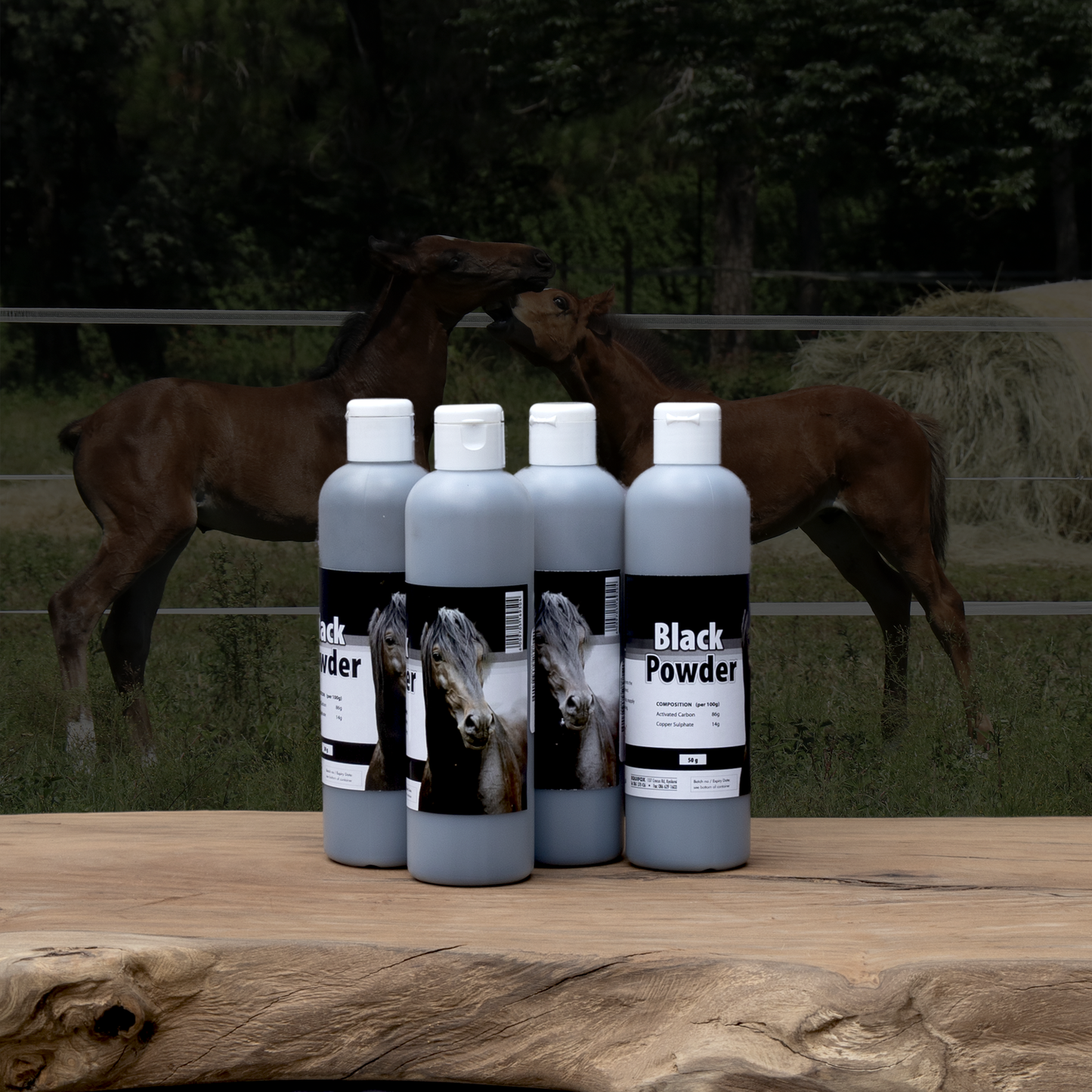 Equifox Black Powder Image