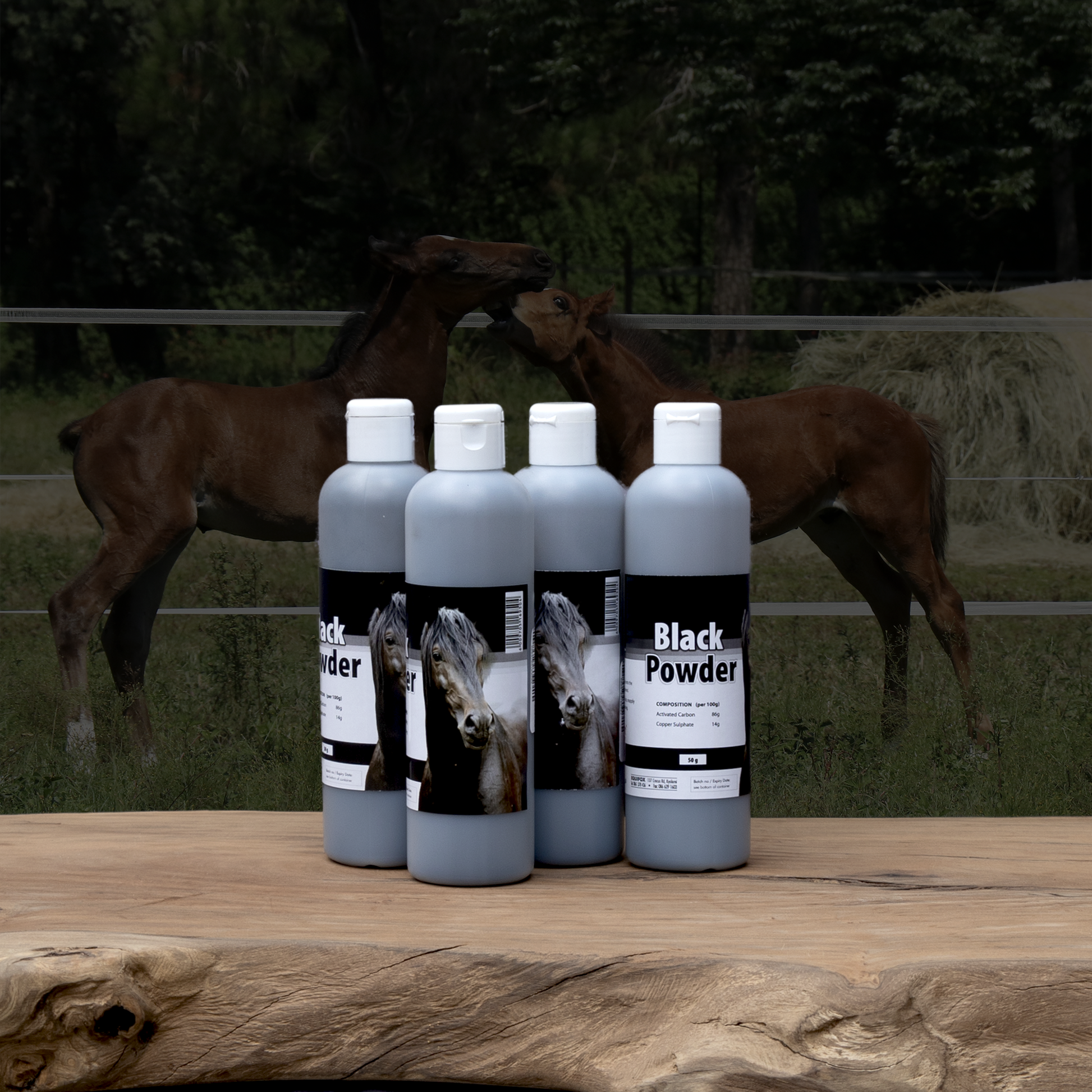 Equifox Black Powder Image
