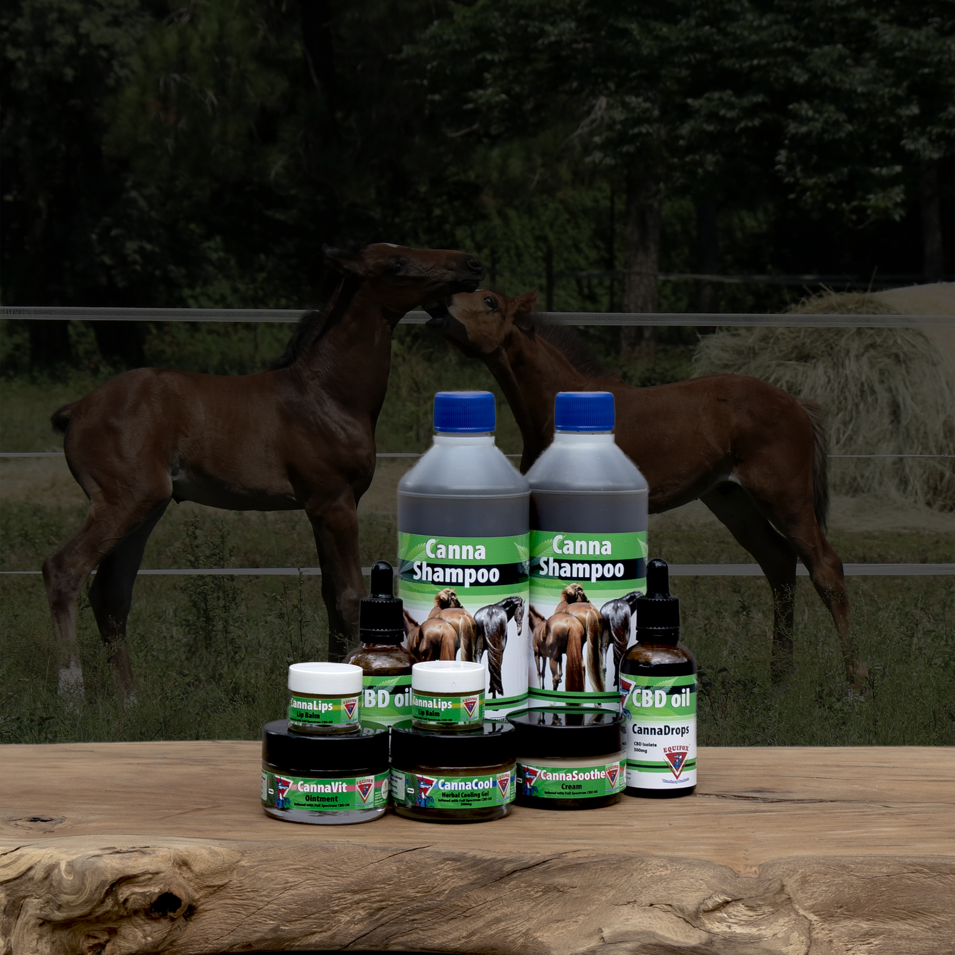Equifox Cannabis Product image