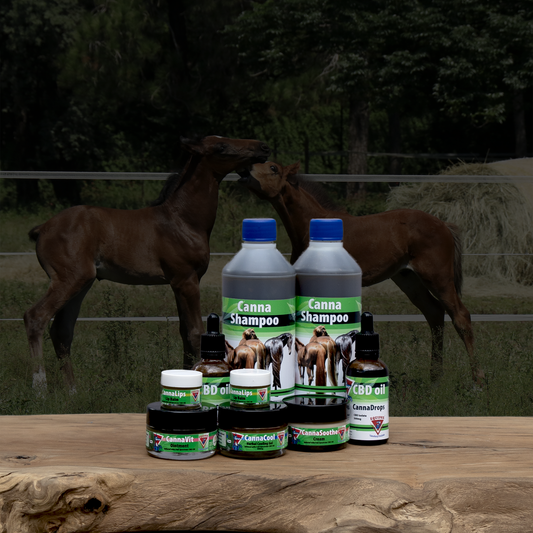 Equifox Cannabis Product image