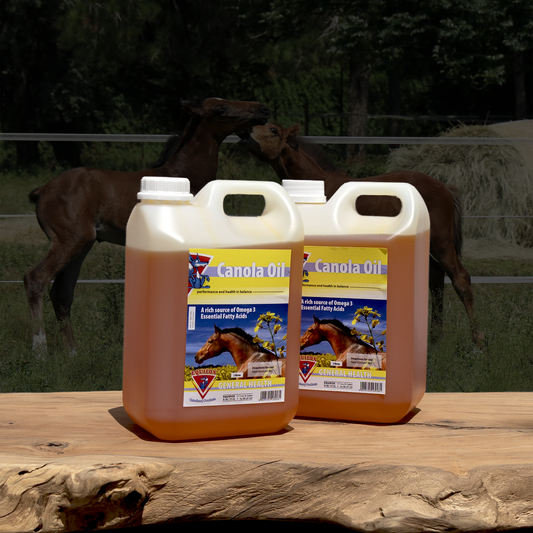 Equifox Canola Oil image