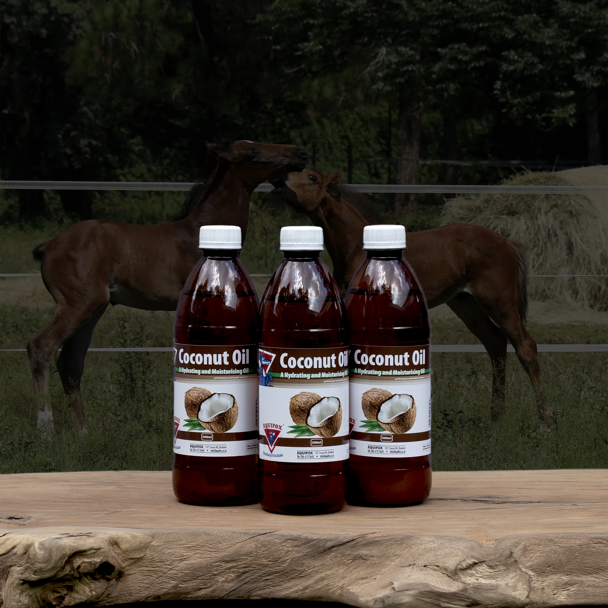 Equifox Coconut Oil product image
