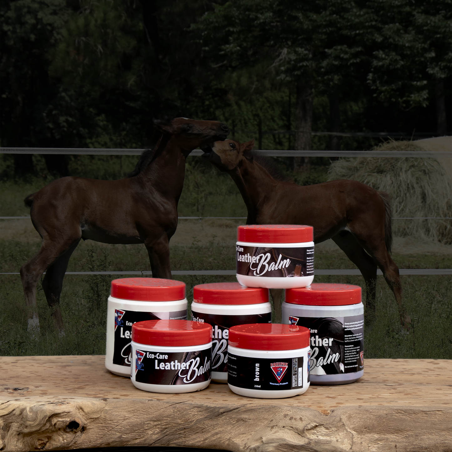 Equifox Eco Care Leather Balm Image