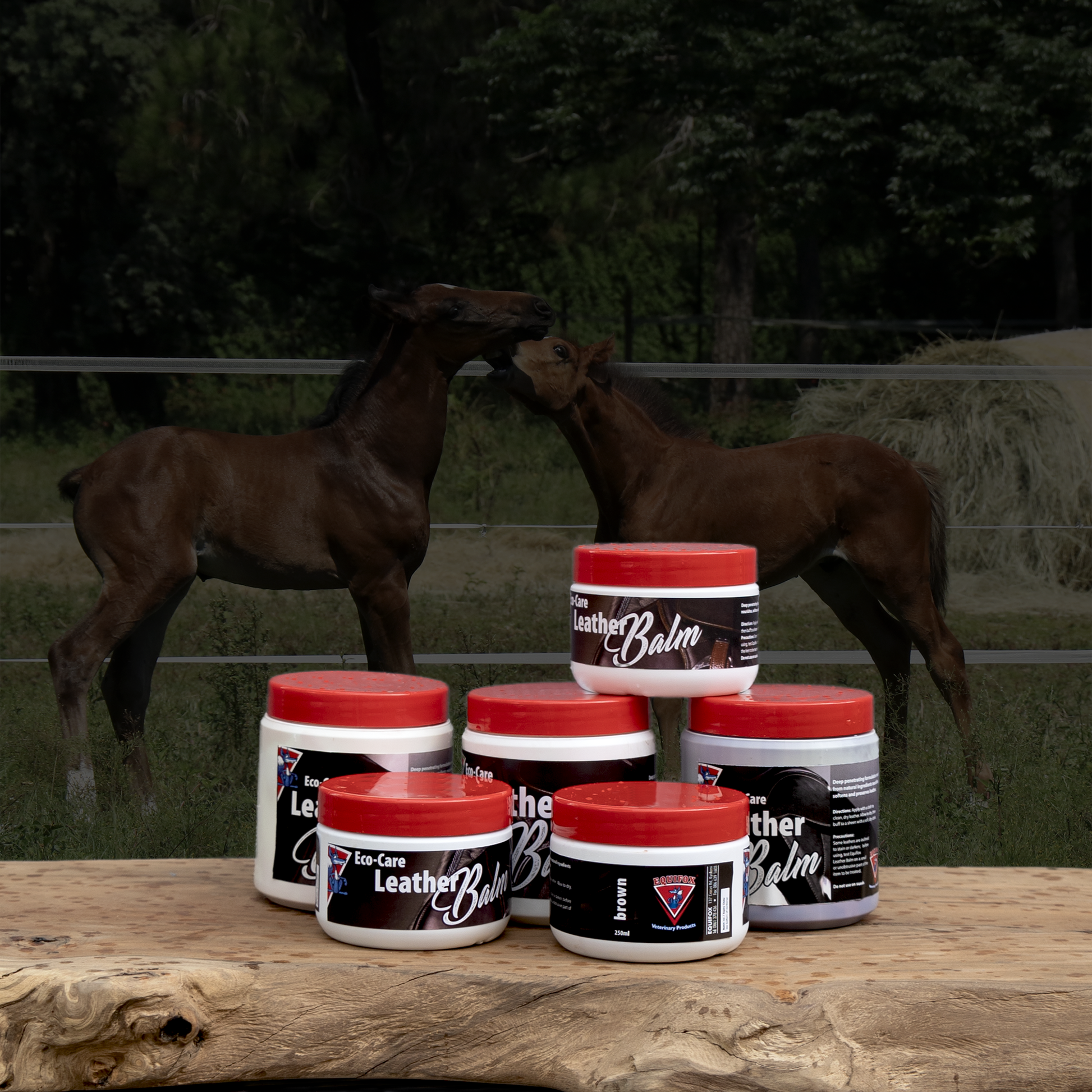 Equifox Eco Care Leather Balm Image