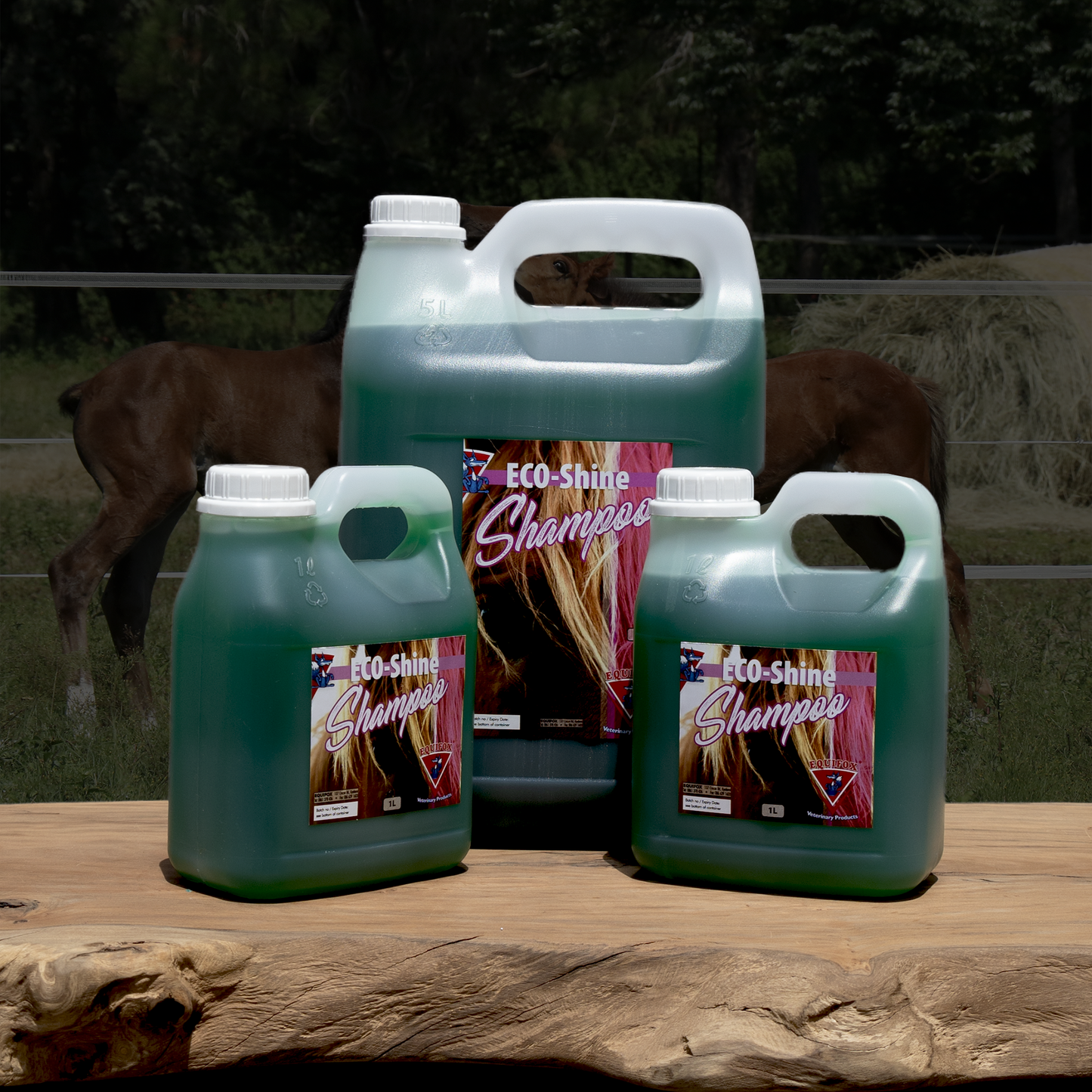 Equifox Eco Shine Shampoo image