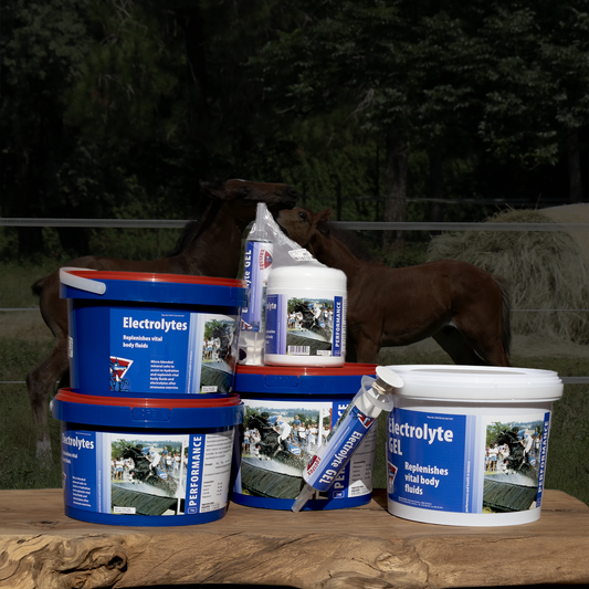 Equifox Electrolyte Image