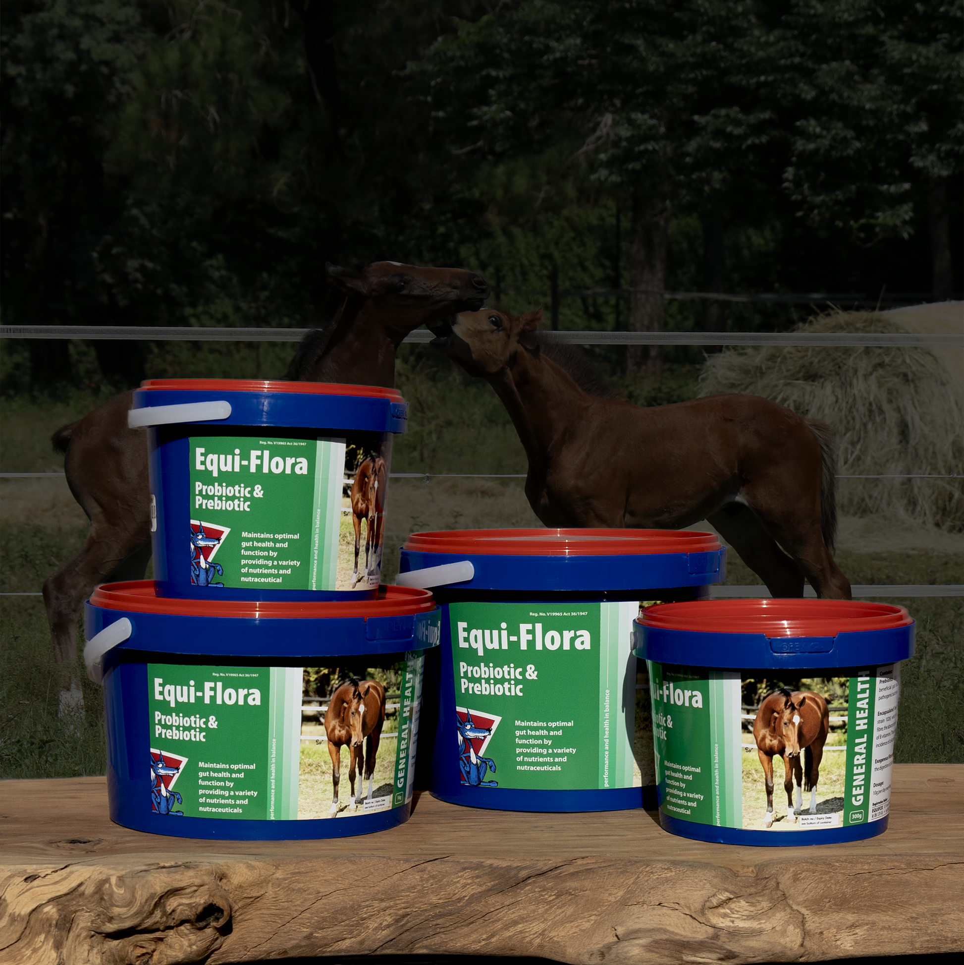 Equifox Equi-Flora Image