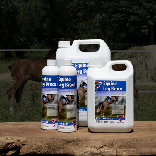 Equifox Equine Leg Brace Image