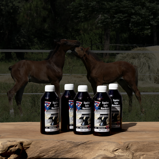 Equifox Equine Sole Hardener Image