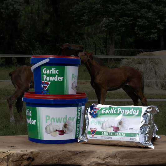 Equifox Garlic Powder Image