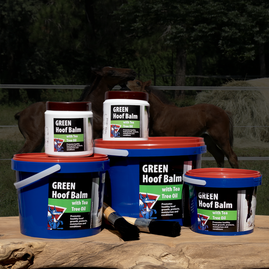 Equifox Grean Hoof Balm product image