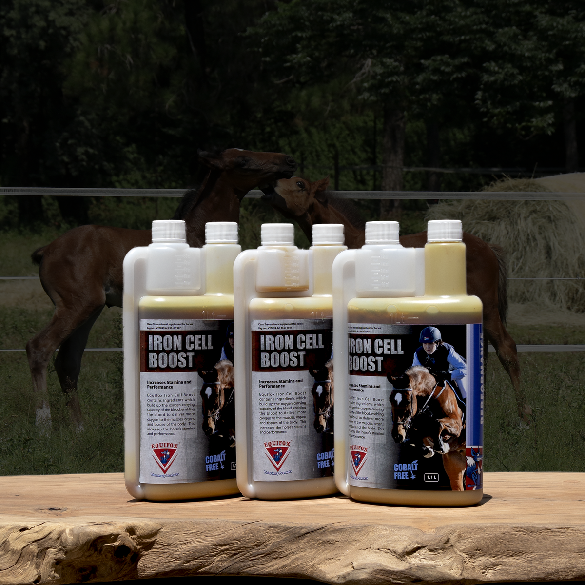 Equifox Iron Cell Boost – BarnLife Online