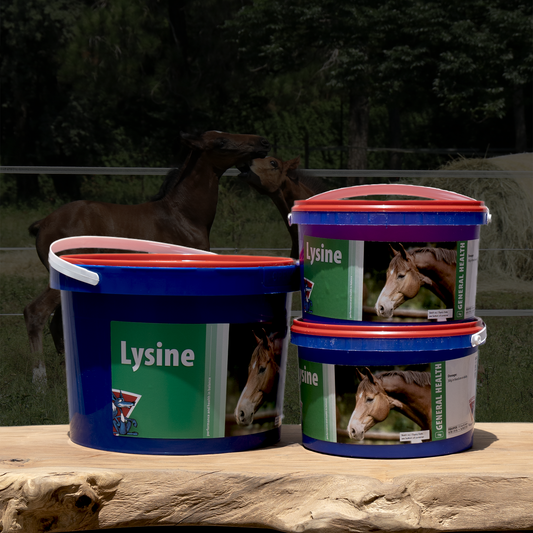 Equifox Lysine Image