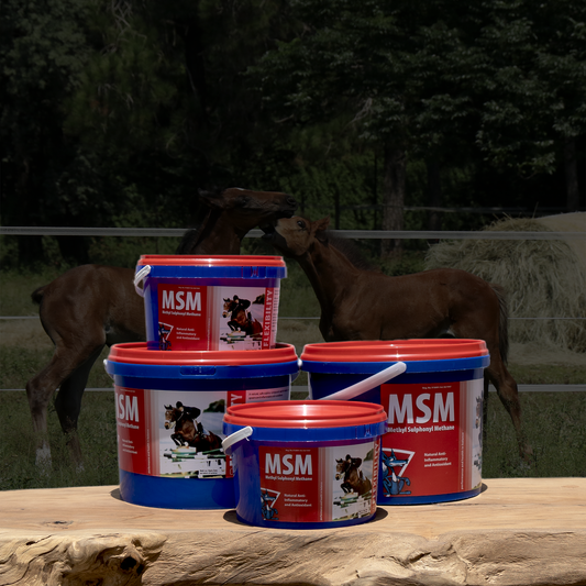 Equifox MSM supplement image