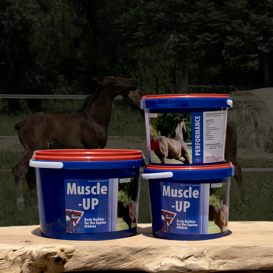 Equifox Muscle-Up Image