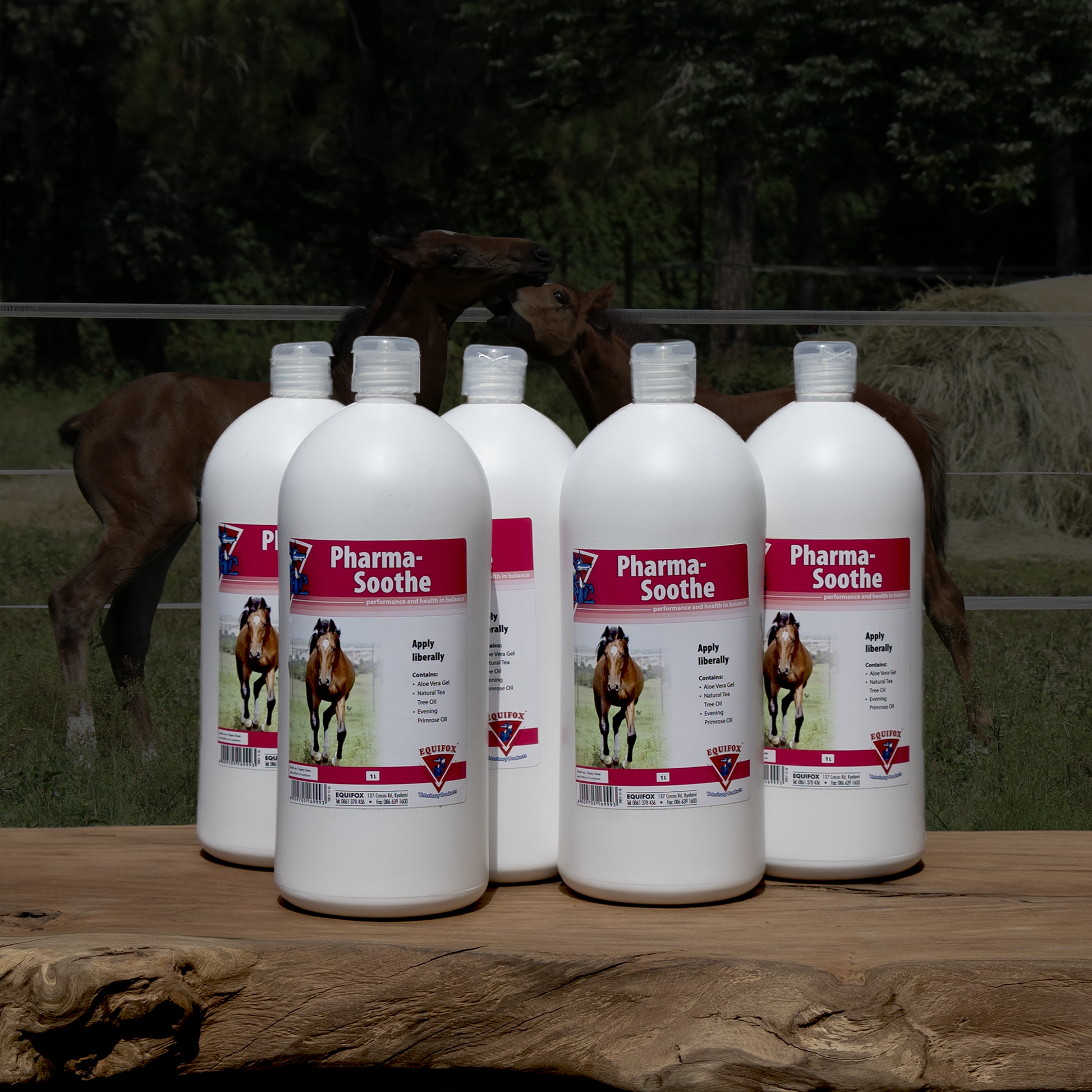 Equifox Pharma-Soothe Image