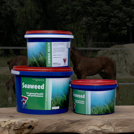 Equifox Seaweed image