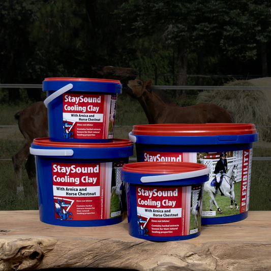 Equifox StaySound Cooling Clay Image