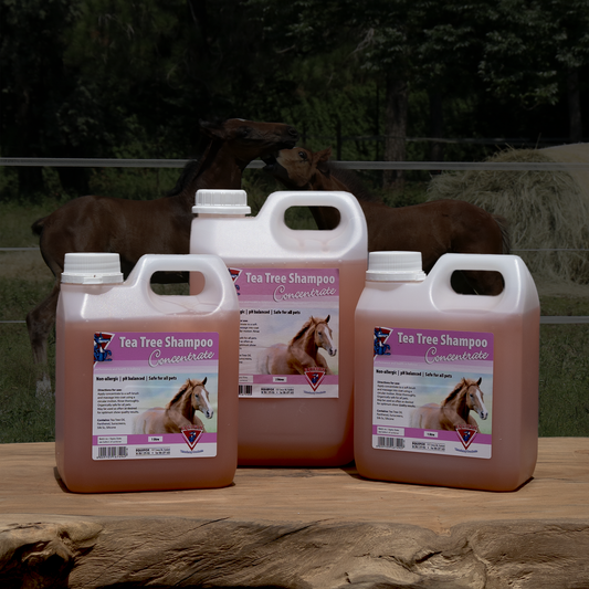Equifox Tea Tree Shampoo Concentrate Image