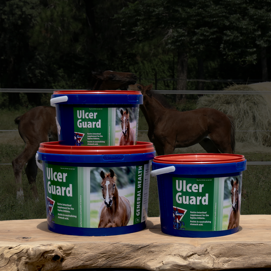 Equifox Ulcer Guard Image
