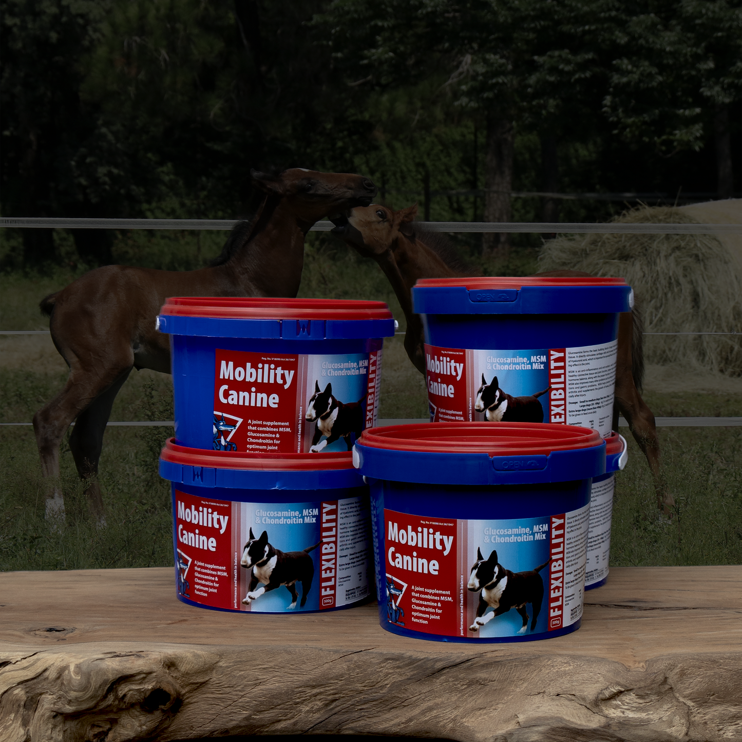 Equifox Mobility Canine product image
