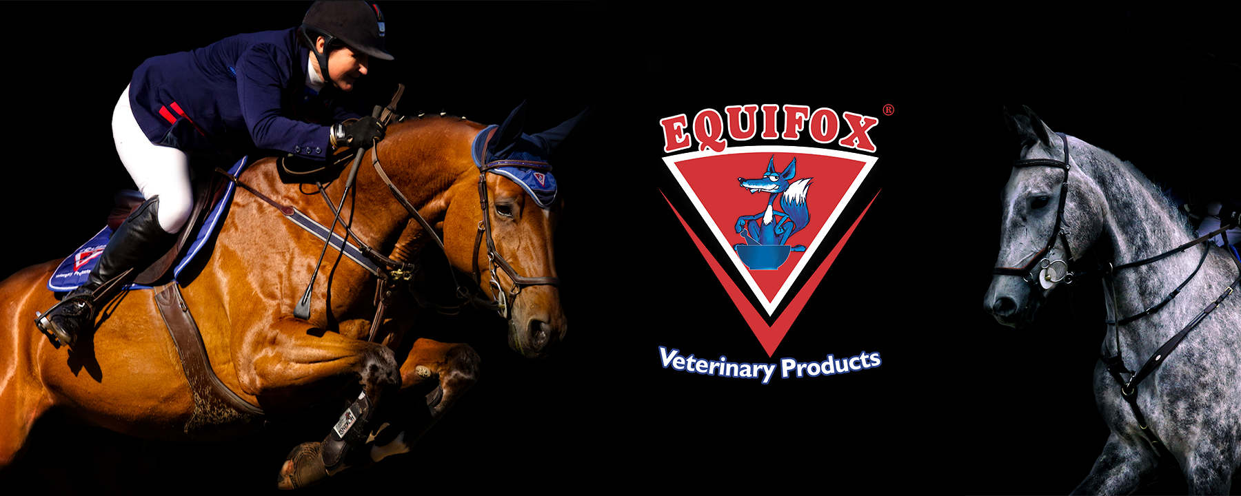 BARNLife Online Equifox Veterinary Supplies image banner